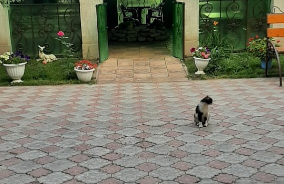 test
